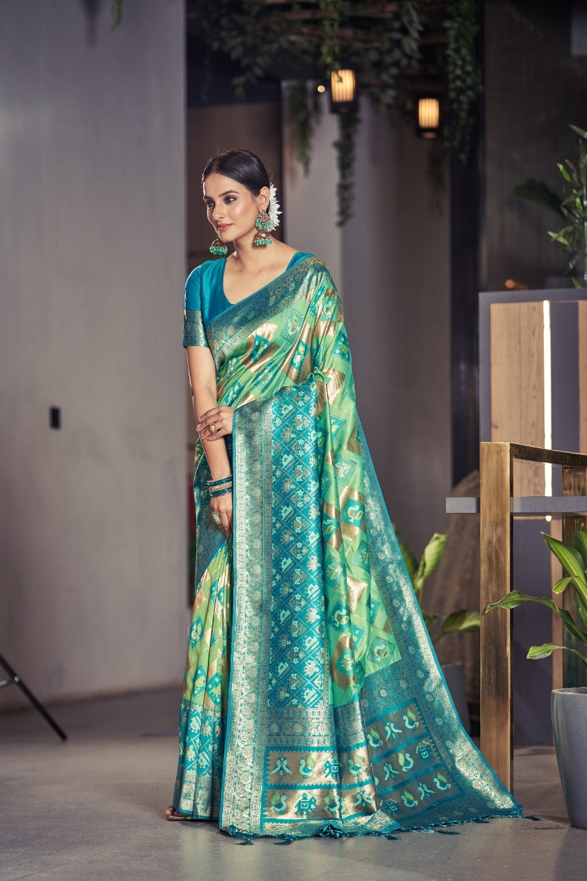 Silk Sarees - Aseem Shakti